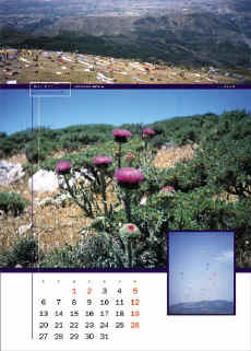 Maj.jpg (57832 bytes)